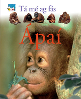 Ápaí